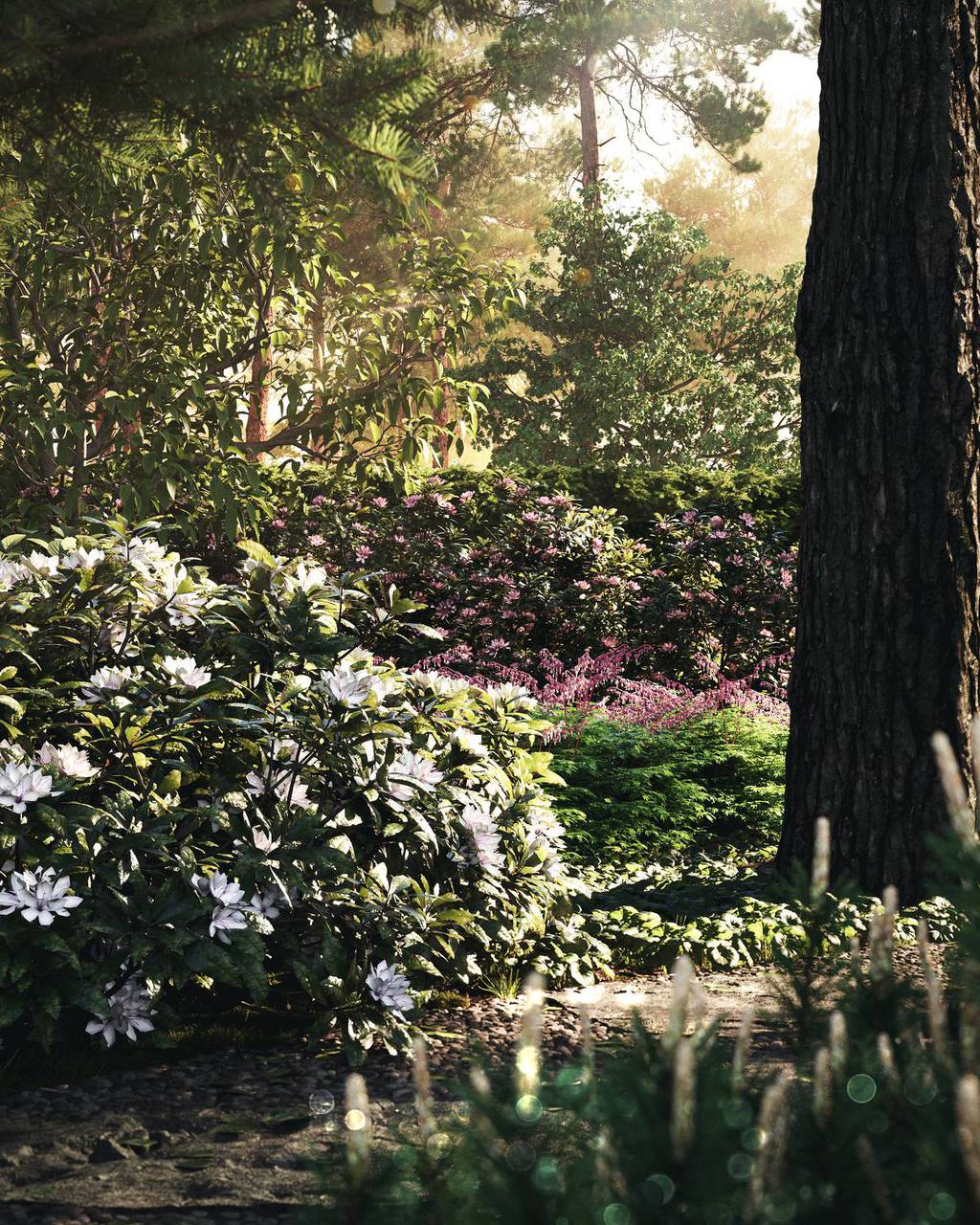 Forest garden in Moscow region