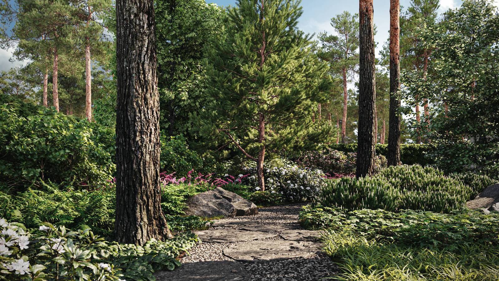 Forest garden in Moscow region