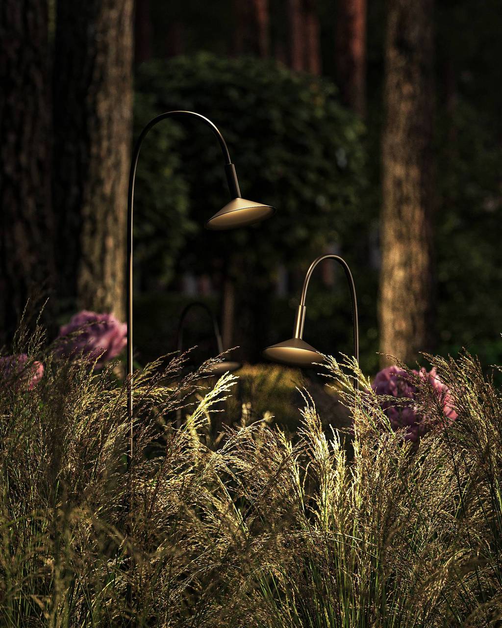 Forest garden in Moscow region